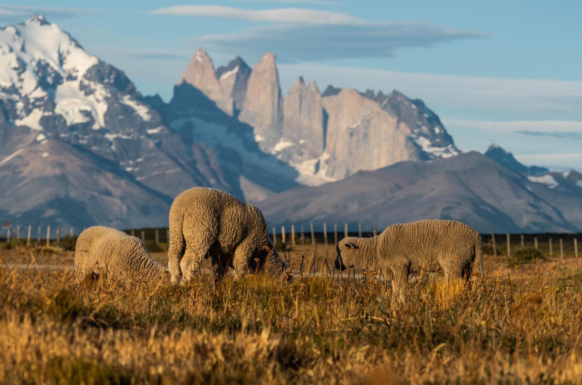 Estancia Cerro Guido Torres del Paine National Park Luaran gambar