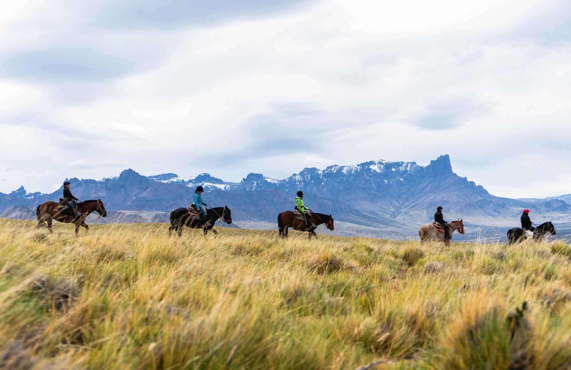 Estancia Cerro Guido Torres del Paine National Park Luaran gambar