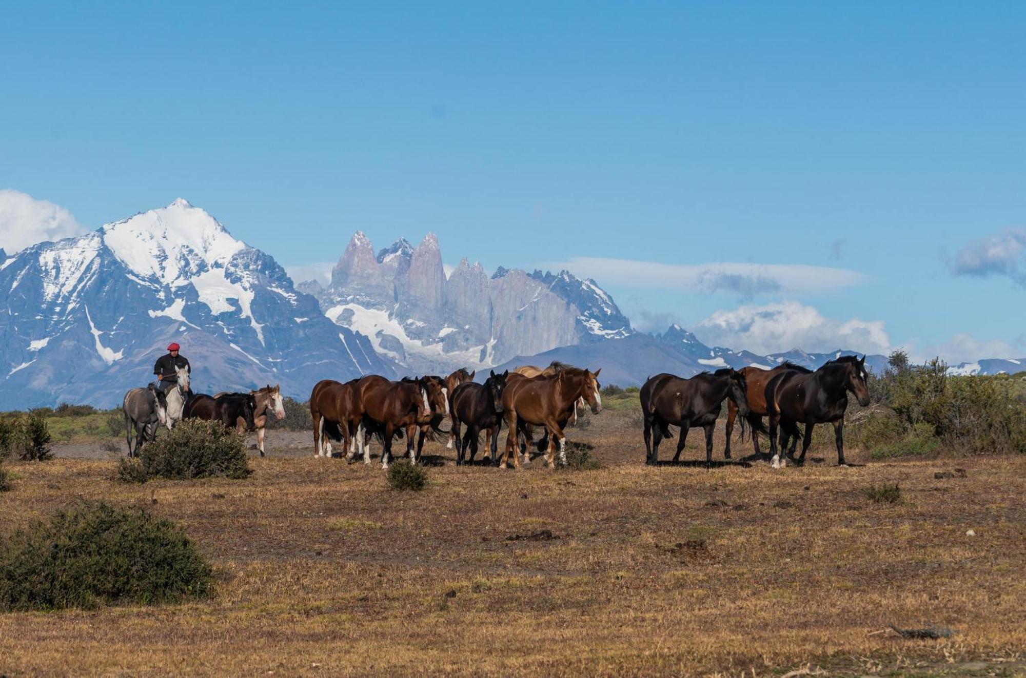 Estancia Cerro Guido Torres del Paine National Park Luaran gambar