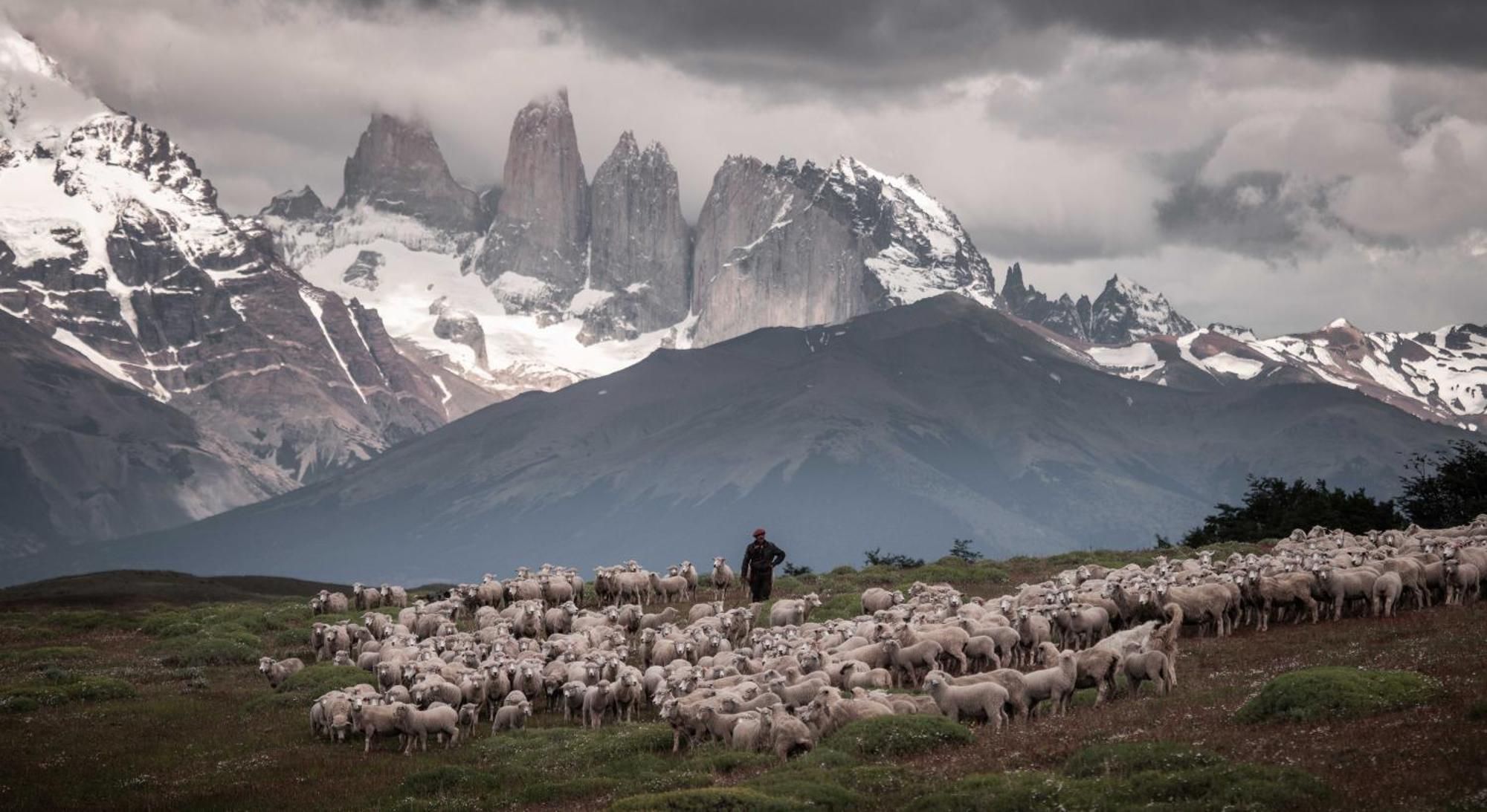 Estancia Cerro Guido Torres del Paine National Park Luaran gambar